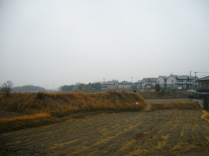 雨霧で何も見えない生駒山