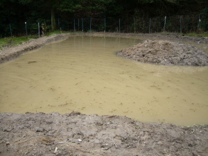 今日は池の中に入って作業をしたので、濁っていますが、きれいな小川の水が絶えず流れ込んでいるので、直ぐに澄んだ池になると思います。 今日は池の中に入って作業をしたので、濁っていますが、きれいな小川の水が絶えず流れ込んでいるので、直ぐに澄んだ池になると思います。