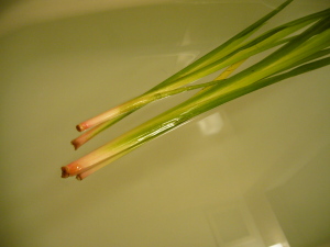 菖蒲湯