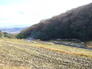 煙は竹炭作り作業の証です。ずっと続いているトタン板はイノシシ避けのフェンスです。