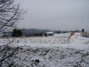 一面の雪 一面の雪
